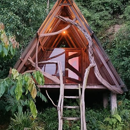 Hotel Jungle Roots à Tena Extérieur photo