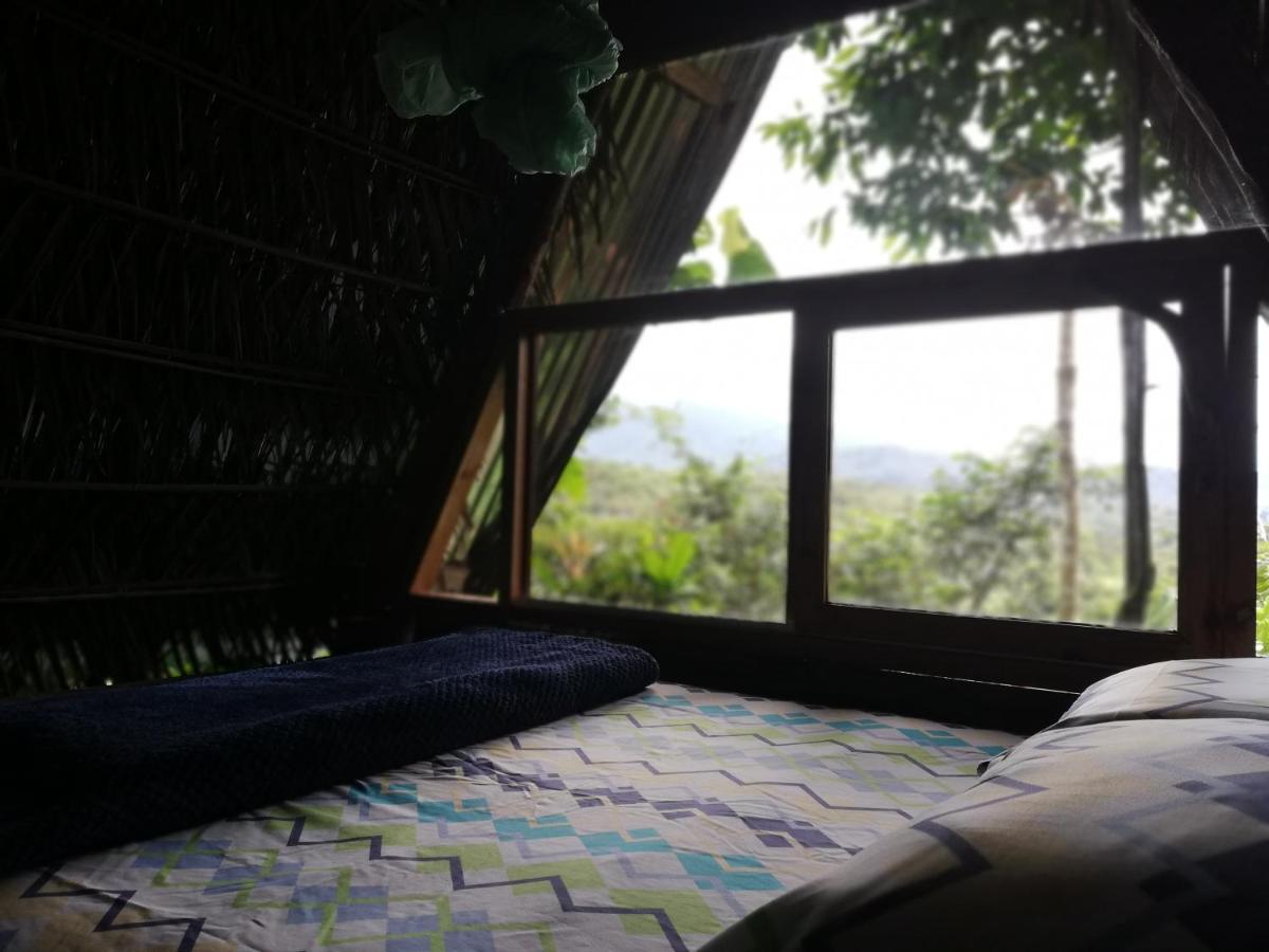 Hotel Jungle Roots à Tena Extérieur photo