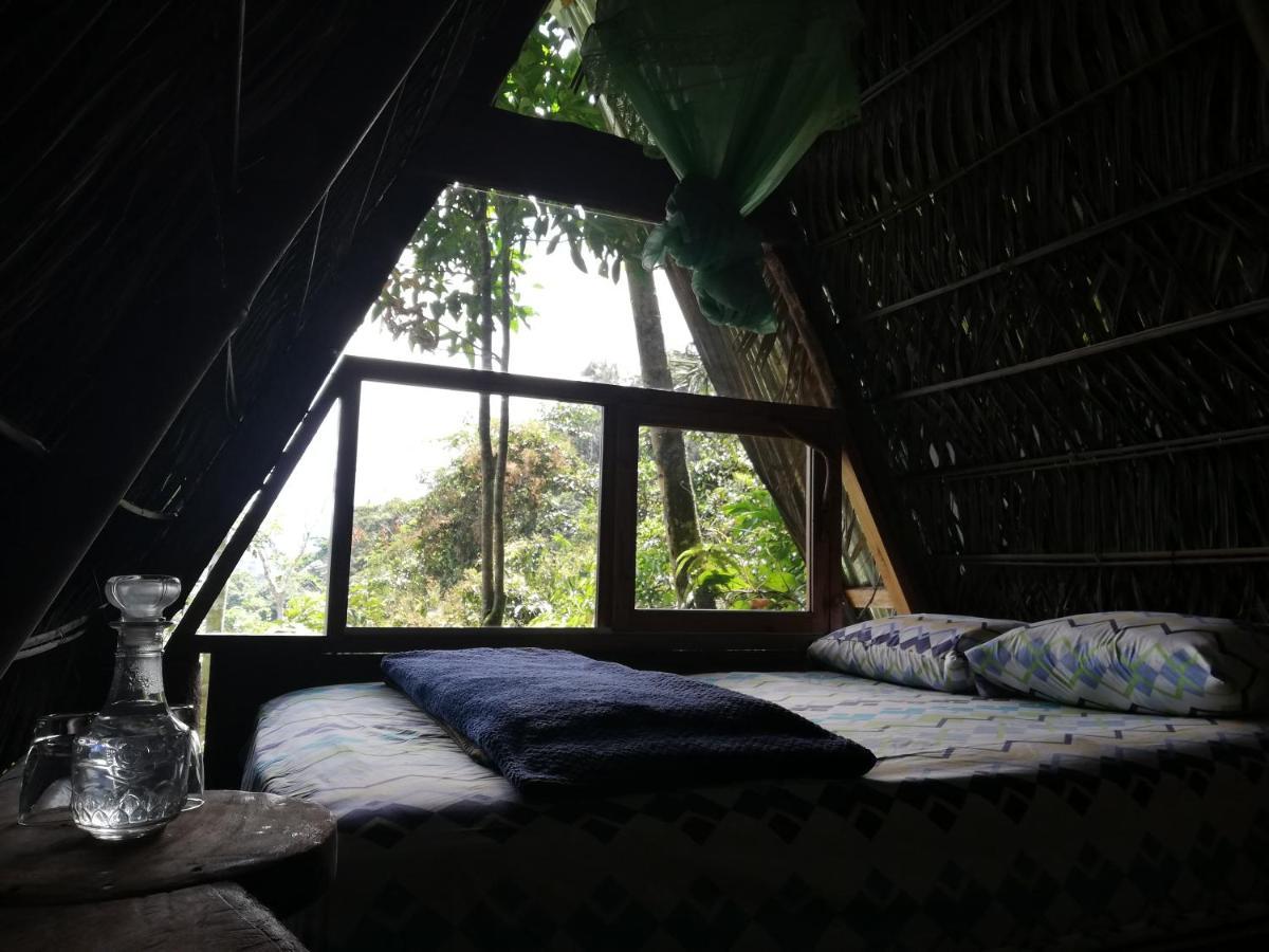 Hotel Jungle Roots à Tena Extérieur photo