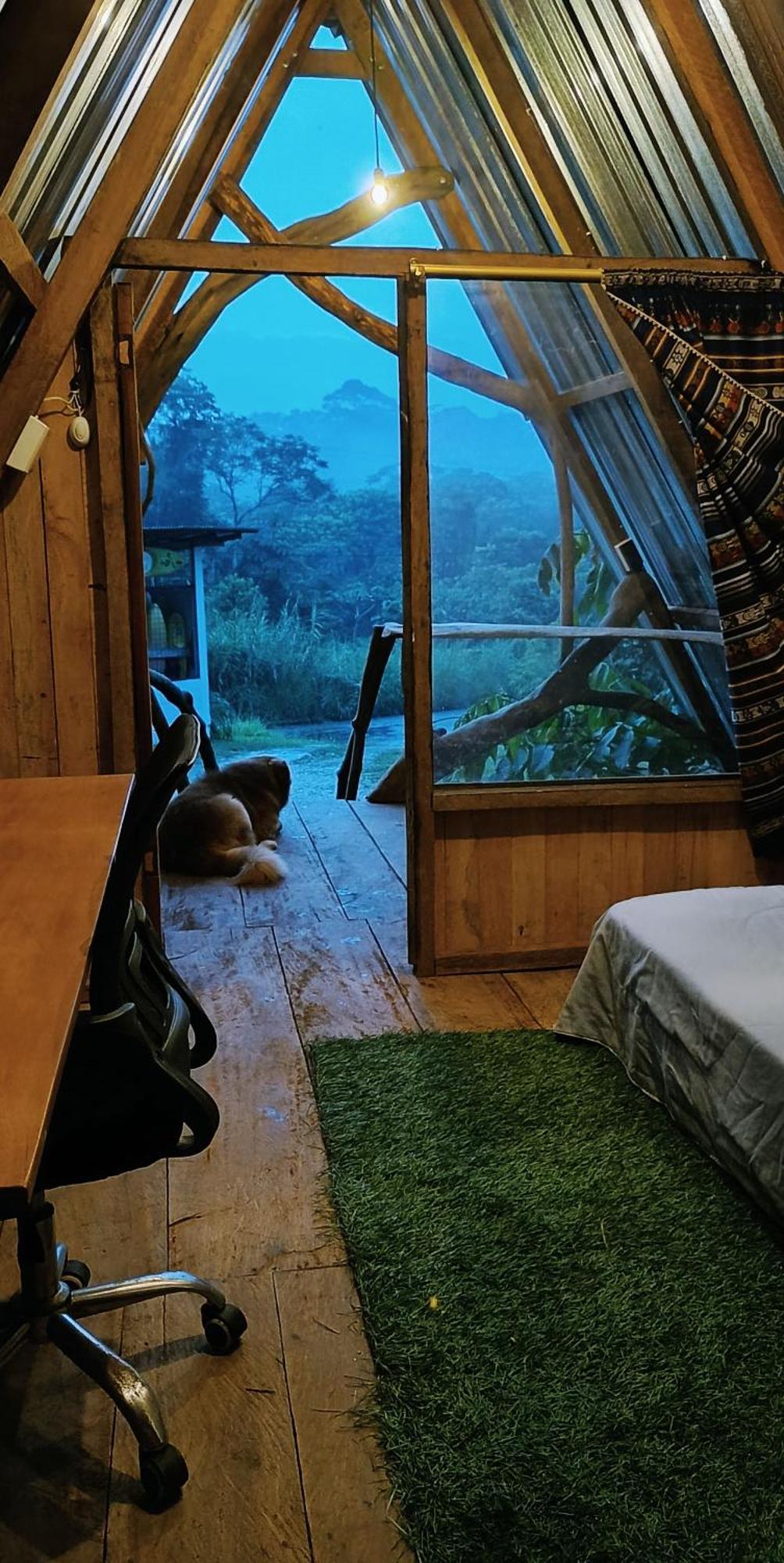 Hotel Jungle Roots à Tena Chambre photo