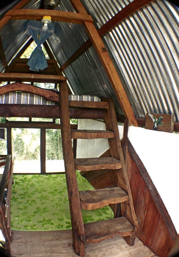 Hotel Jungle Roots à Tena Extérieur photo