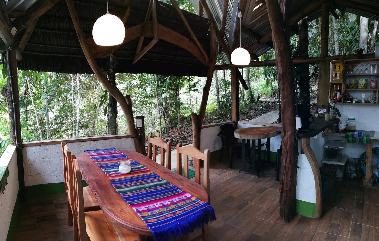 Hotel Jungle Roots à Tena Extérieur photo