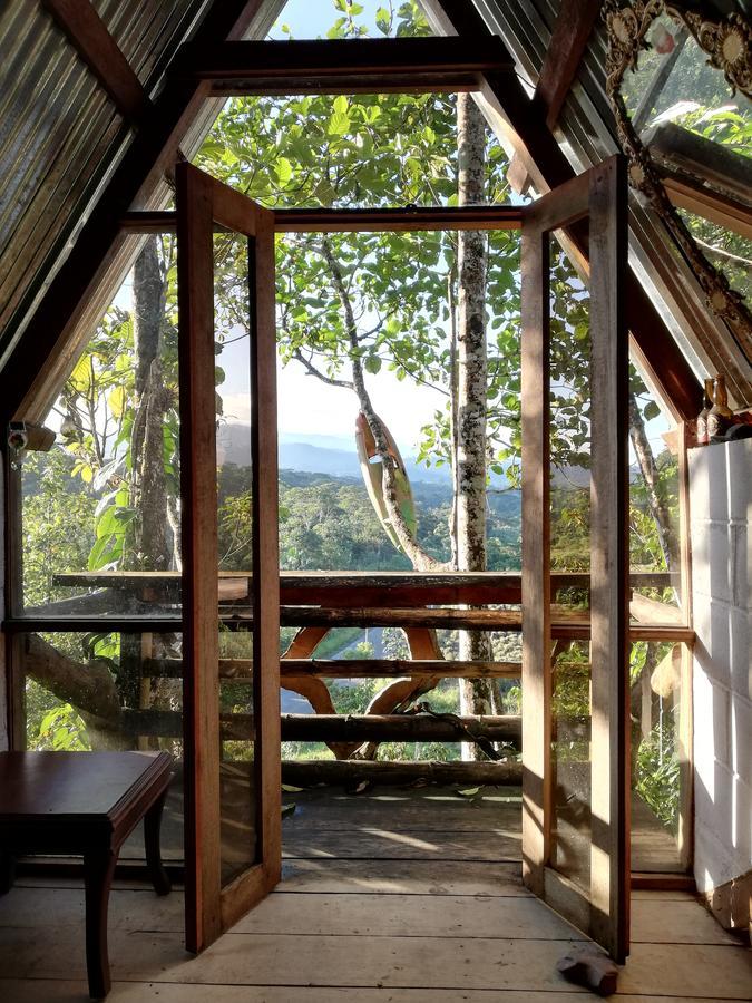 Hotel Jungle Roots à Tena Extérieur photo