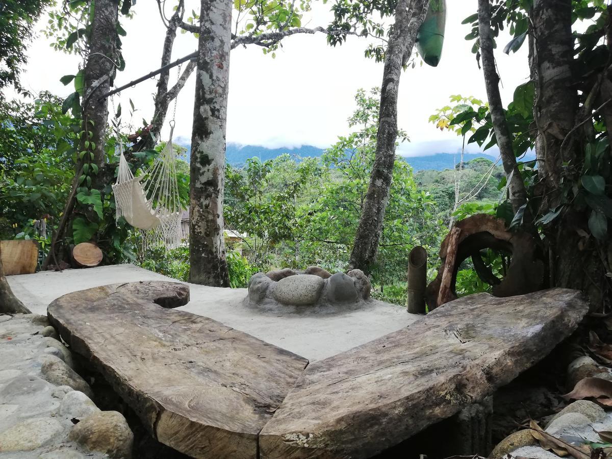 Hotel Jungle Roots à Tena Extérieur photo