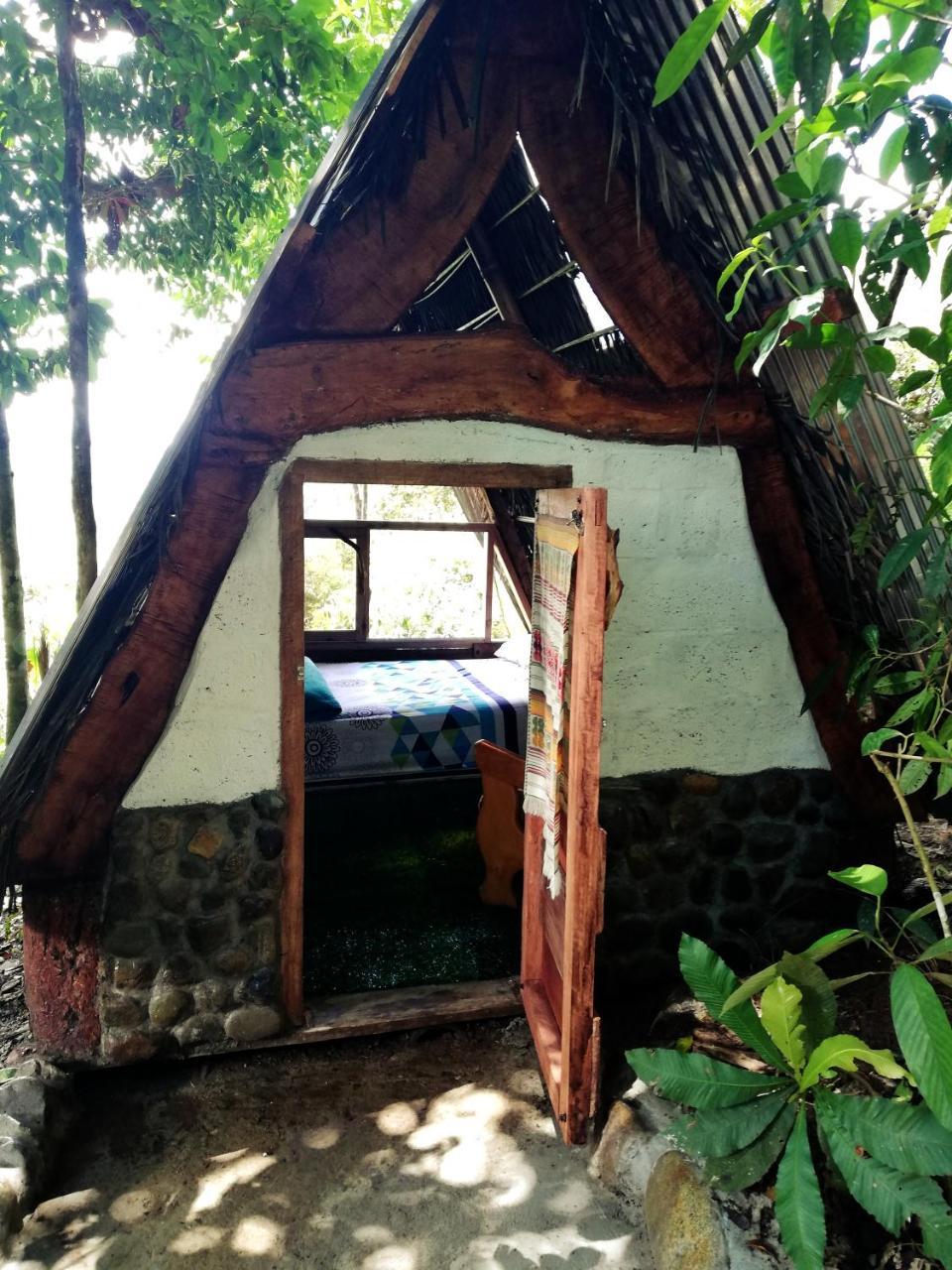 Hotel Jungle Roots à Tena Extérieur photo