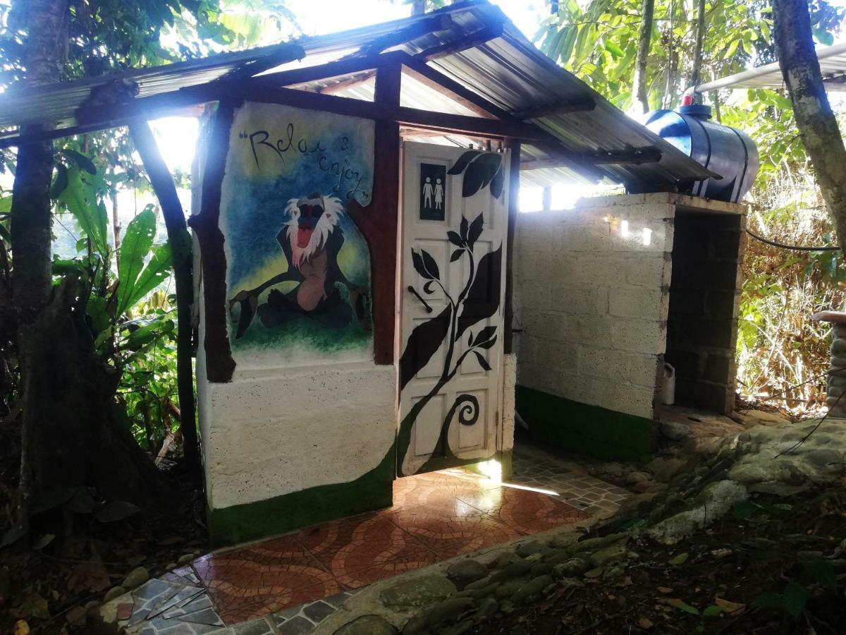 Hotel Jungle Roots à Tena Extérieur photo