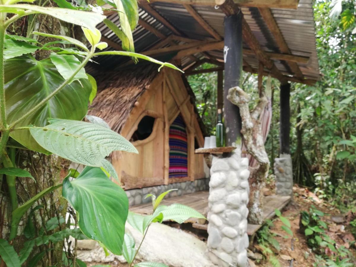 Hotel Jungle Roots à Tena Extérieur photo